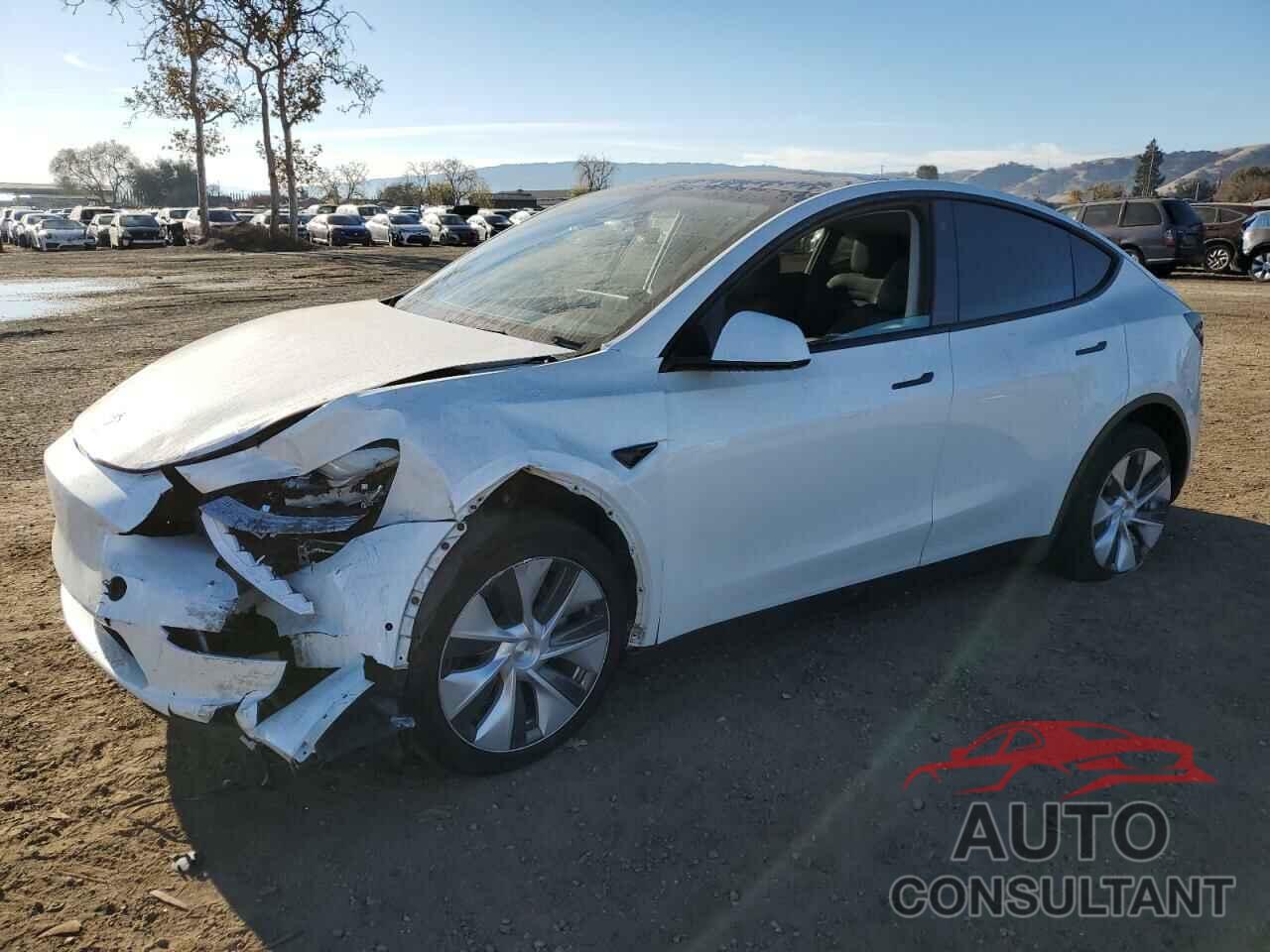TESLA MODEL Y 2020 - 5YJYGDEE4LF015455
