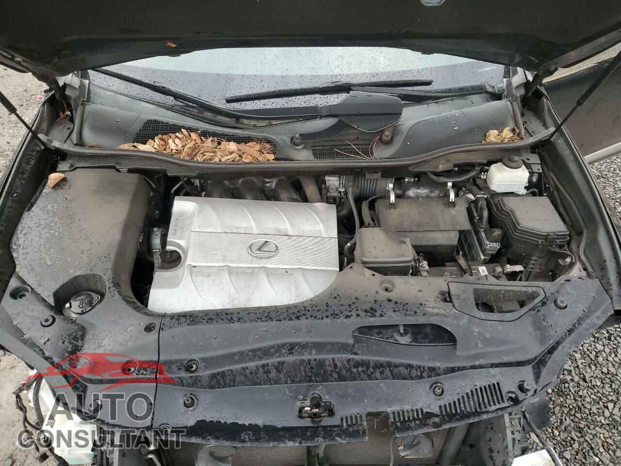 LEXUS RX350 2011 - 2T2BK1BA9BC117983