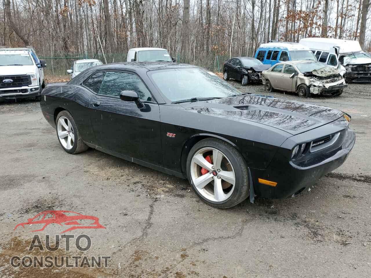 DODGE CHALLENGER 2012 - 2C3CDYCJ4CH217379