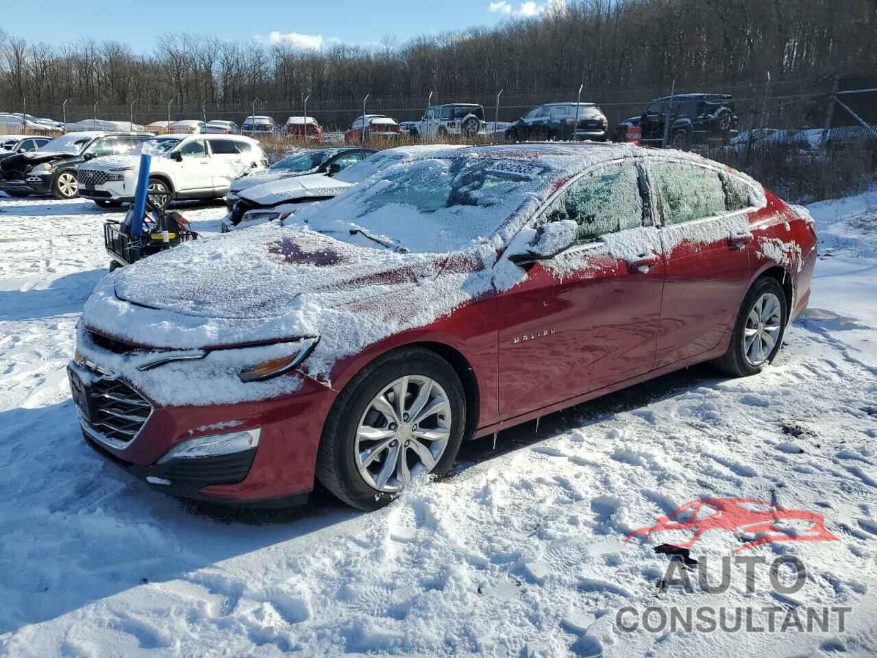 CHEVROLET MALIBU 2019 - 1G1ZD5ST1KF114310