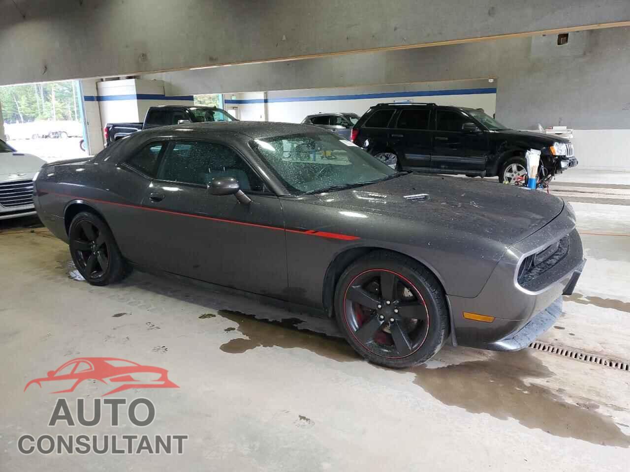 DODGE CHALLENGER 2013 - 2C3CDYBTXDH667994
