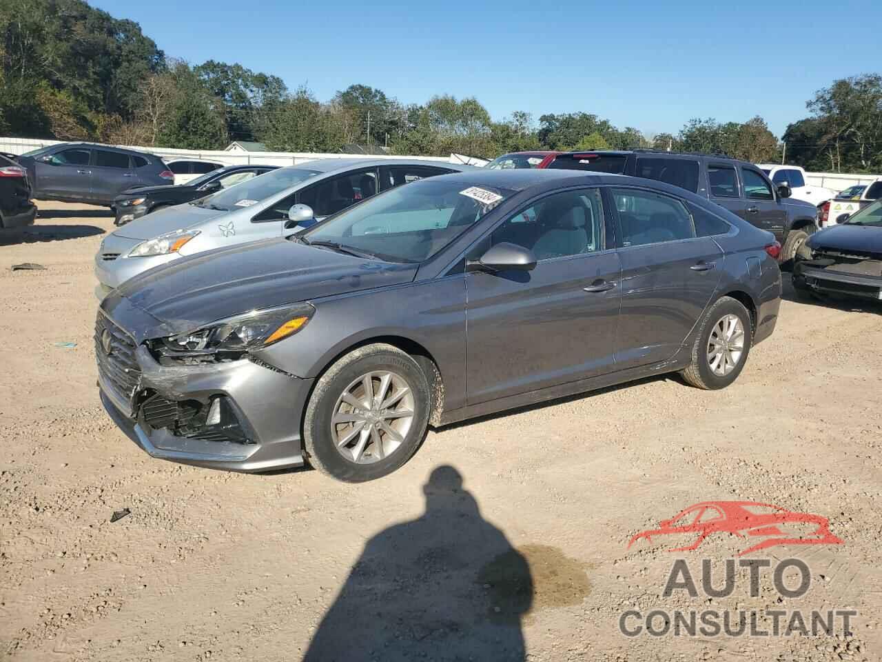 HYUNDAI SONATA 2019 - 5NPE24AF8KH755719