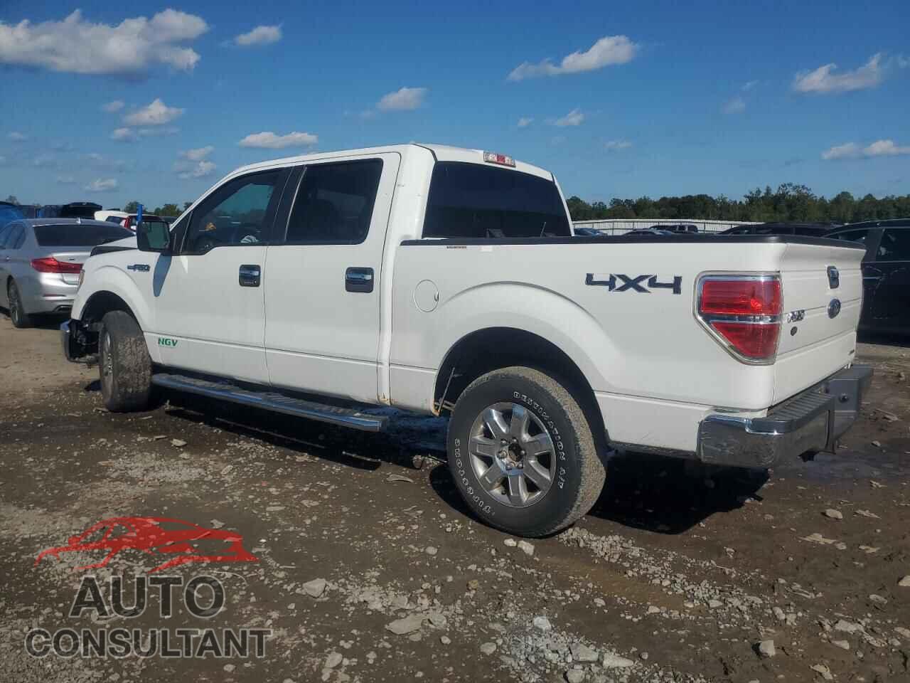 FORD F-150 2014 - 1FTFW1EF5EFB57894