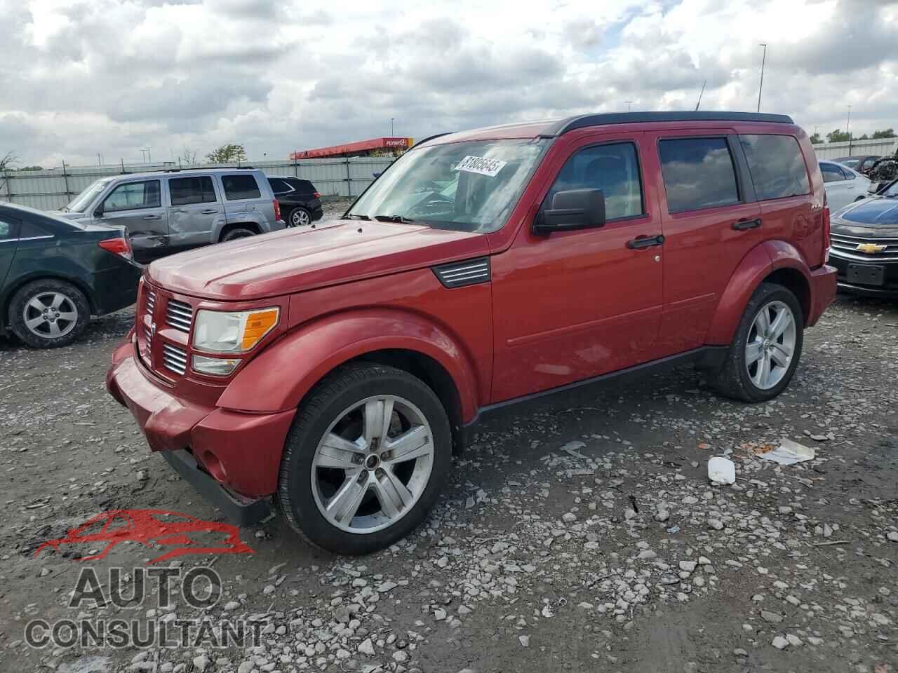 DODGE NITRO 2011 - 1D4PU4GK3BW515871
