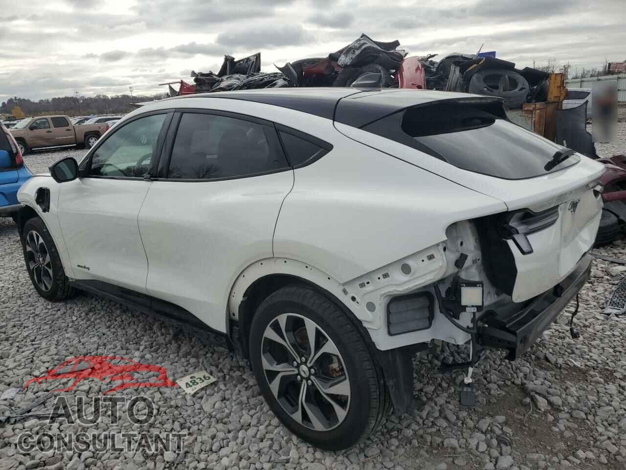 FORD MUSTANG 2023 - 3FMTK3SS8PMA48629