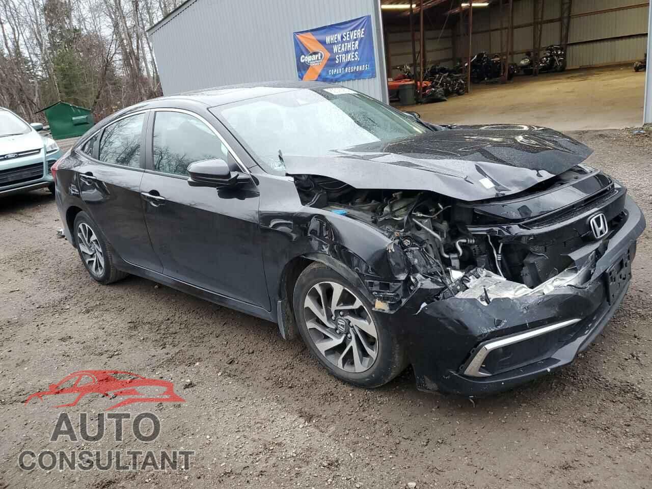 HONDA CIVIC 2019 - 2HGFC2F71KH008156