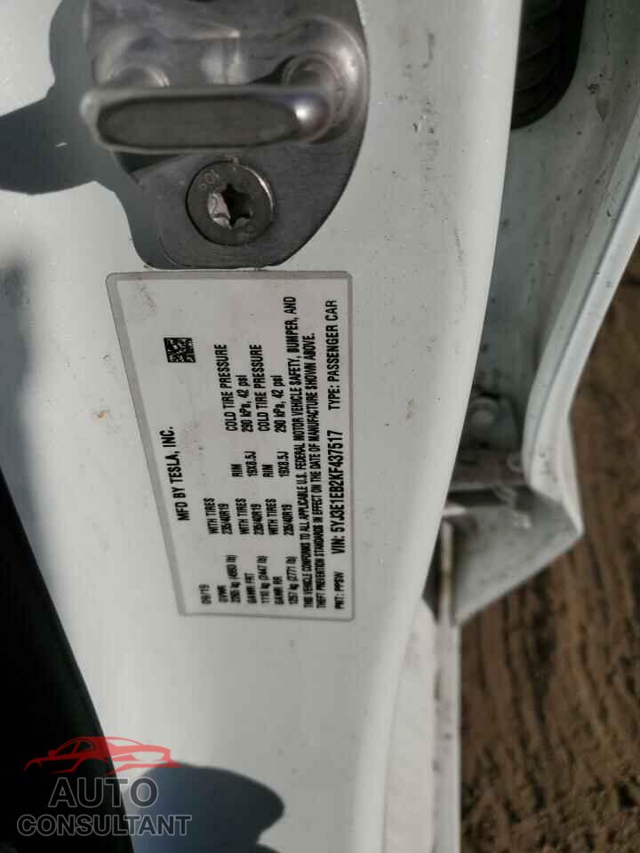 TESLA MODEL 3 2019 - 5YJ3E1EB2KF437517