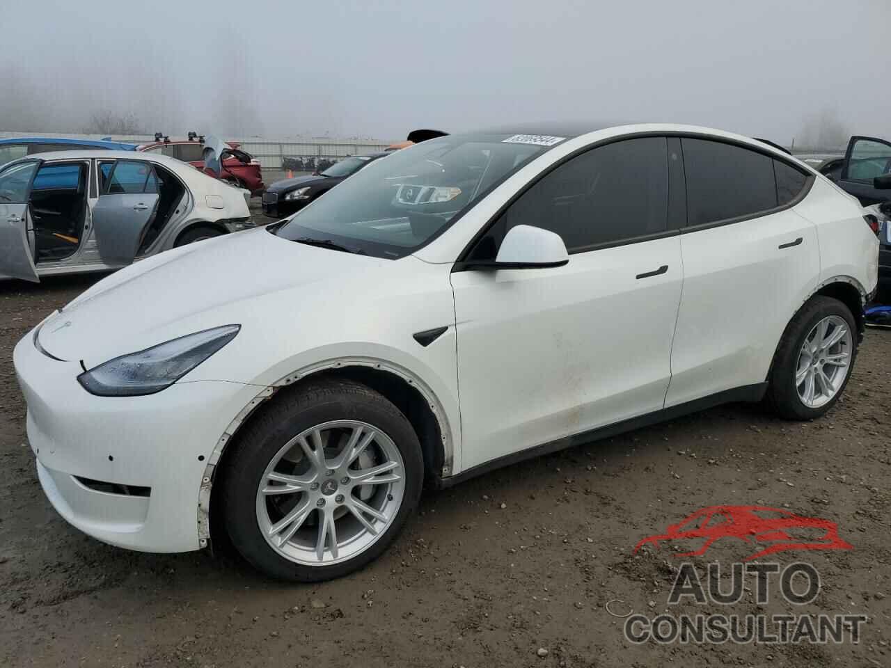 TESLA MODEL Y 2021 - 5YJYGDEEXMF229528