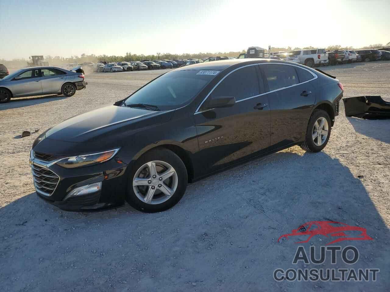 CHEVROLET MALIBU 2019 - 1G1ZB5ST8KF217083