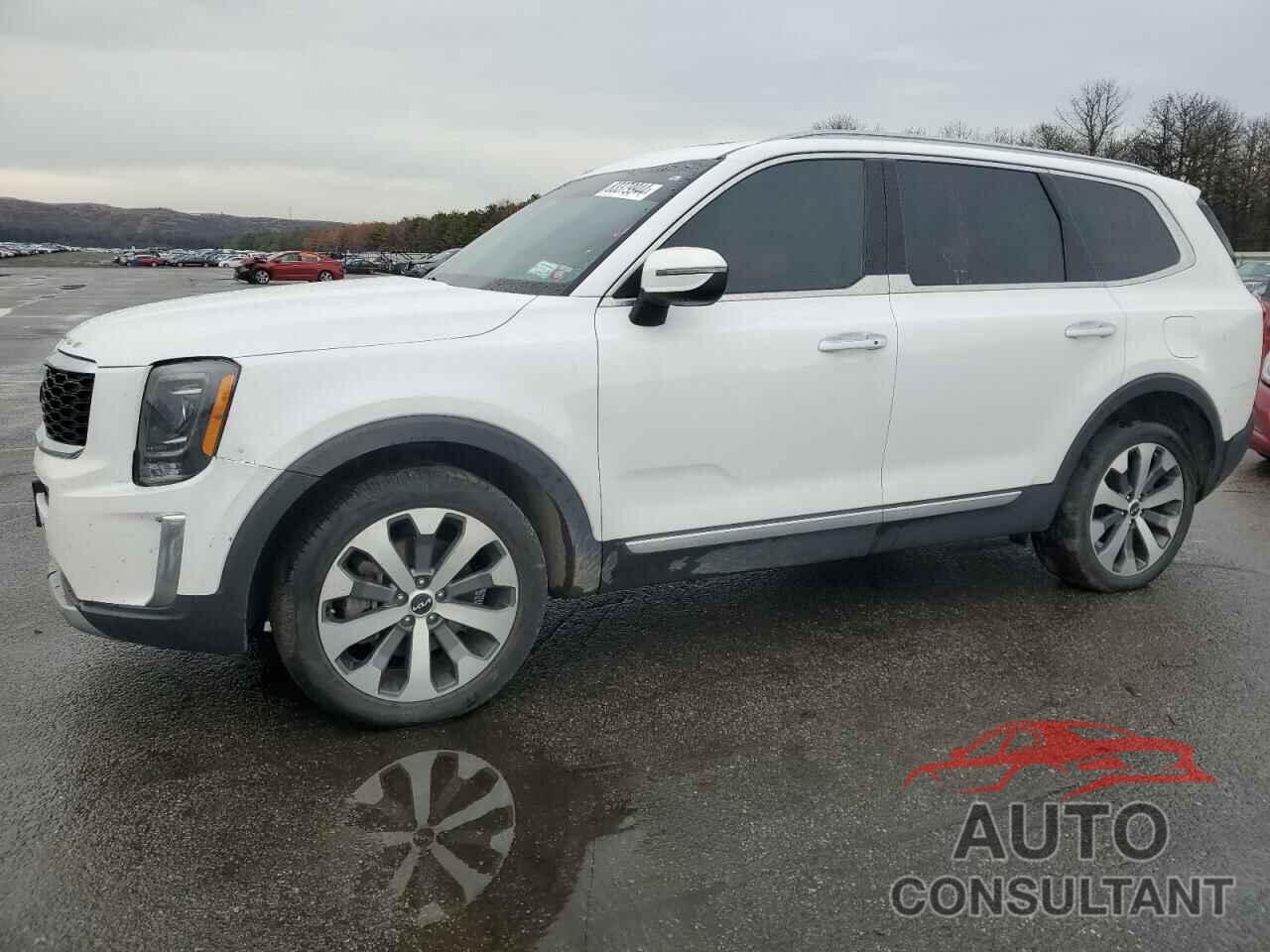 KIA TELLURIDE 2022 - 5XYP64HCXNG269384