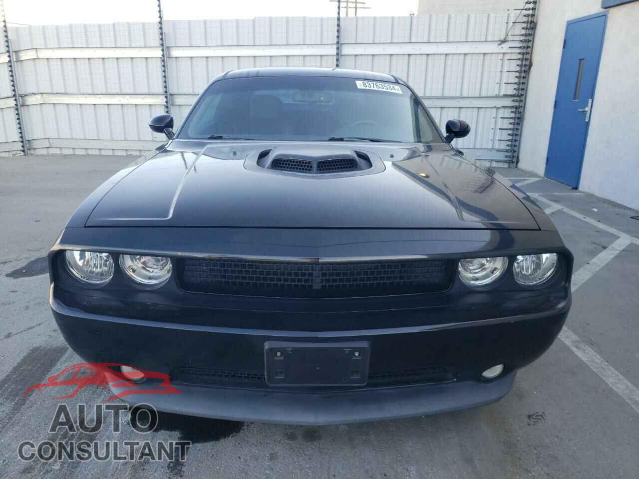 DODGE CHALLENGER 2014 - 2C3CDYBTXEH281903