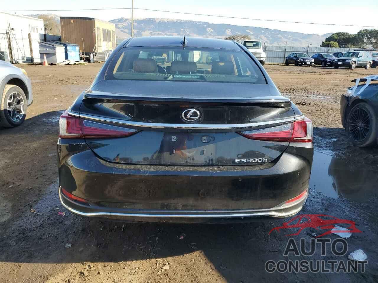 LEXUS ES300 2023 - 58ADA1C10PU028316