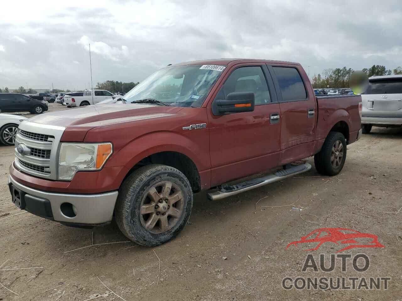 FORD F-150 2014 - 1FTFW1CF1EKD79813