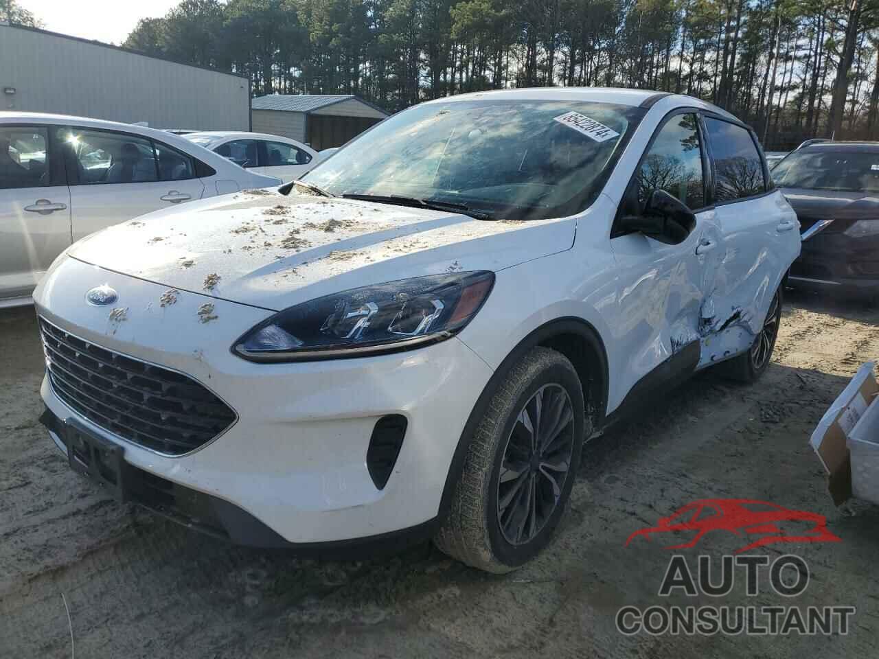 FORD ESCAPE 2022 - 1FMCU0G6XNUB17575