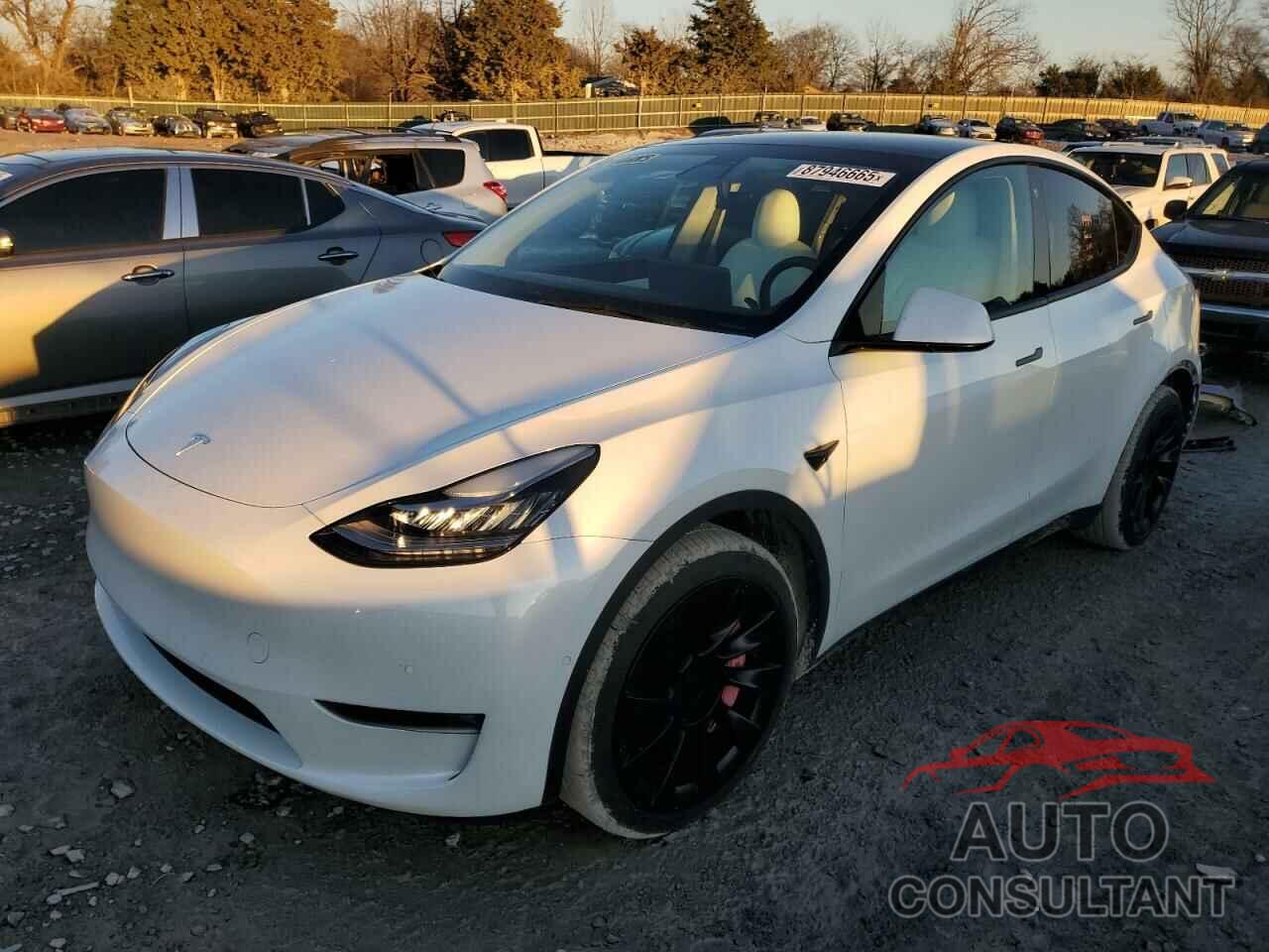 TESLA MODEL Y 2021 - 5YJYGDEE8MF300953