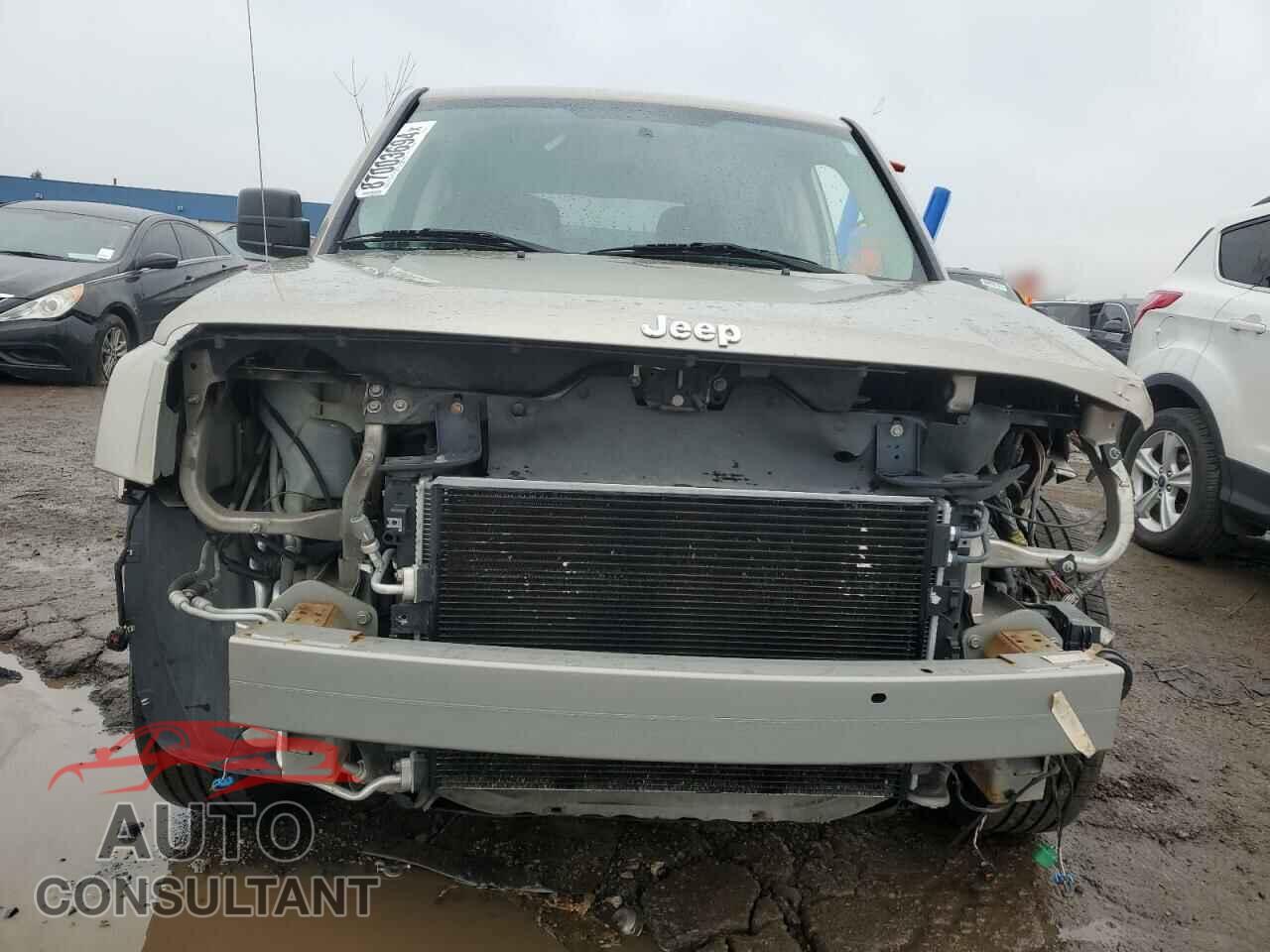 JEEP PATRIOT 2009 - 1J4FT48B09D208507