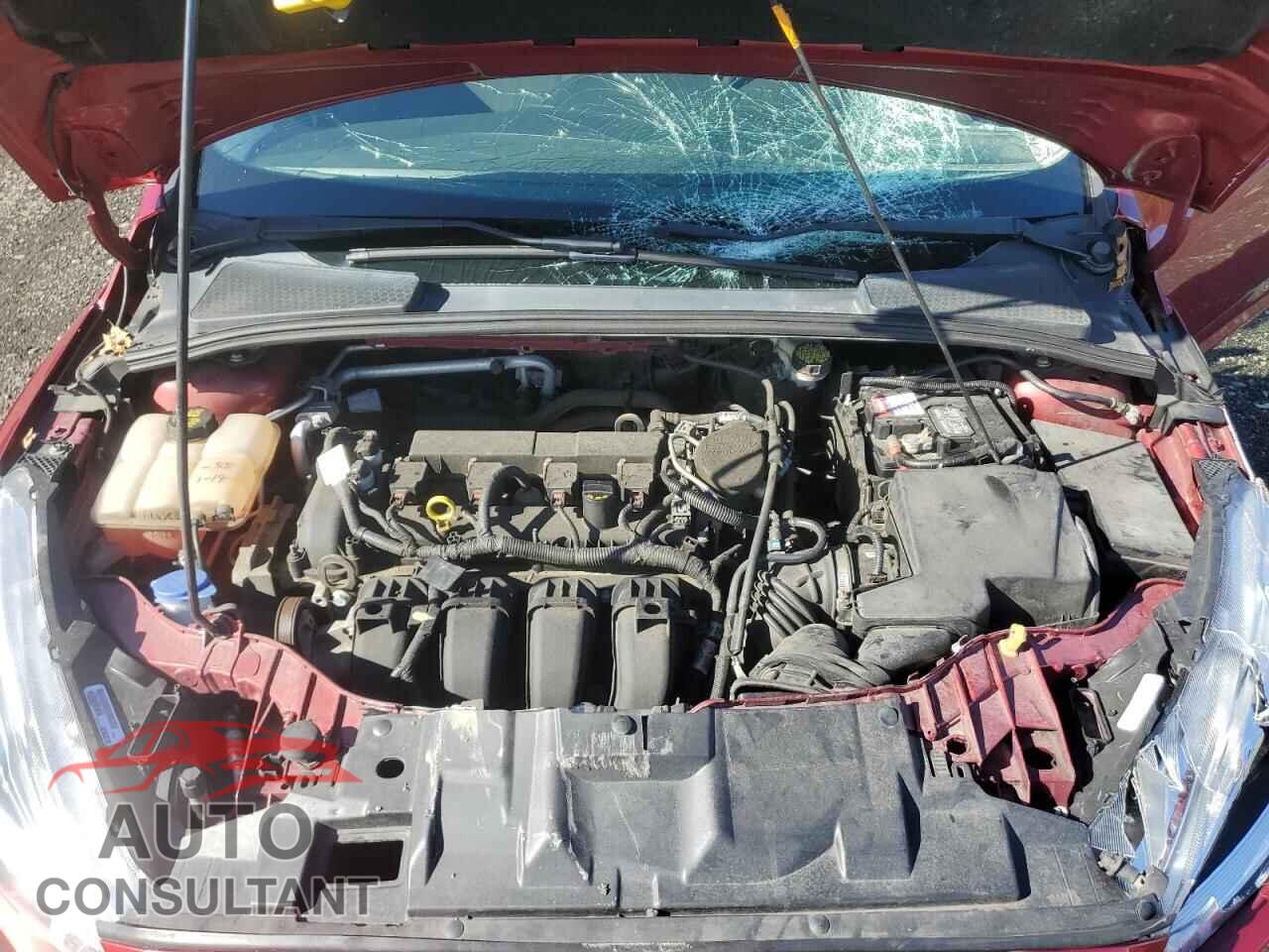 FORD FOCUS 2015 - 1FADP3F29FL208611