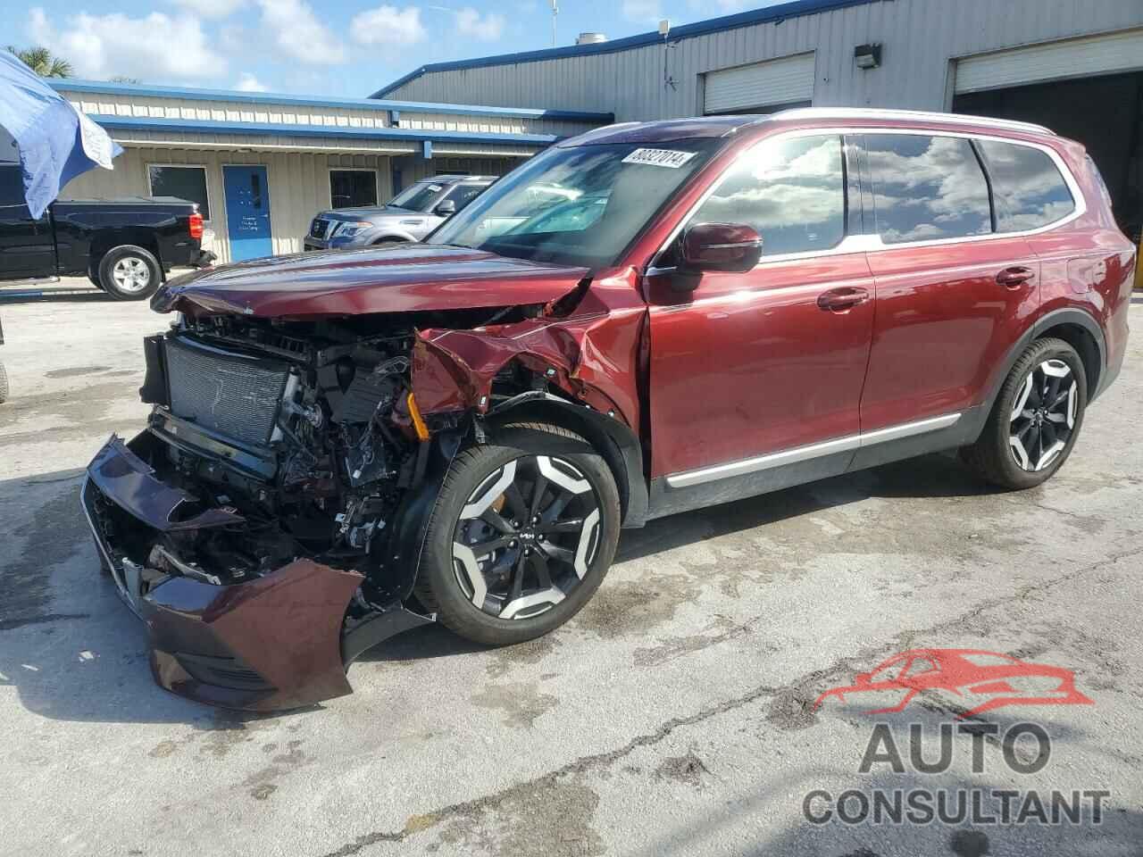 KIA TELLURIDE 2024 - 5XYP34GC3RG554511