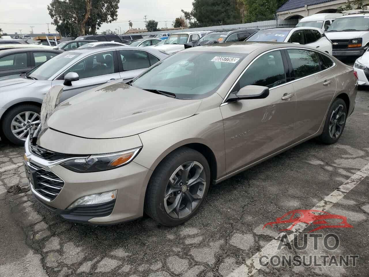 CHEVROLET MALIBU 2022 - 1G1ZD5ST7NF177383