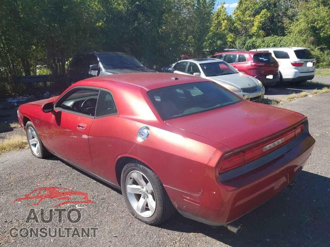 DODGE CHALLENGER 2010 - 2B3CJ4DV2AH111171