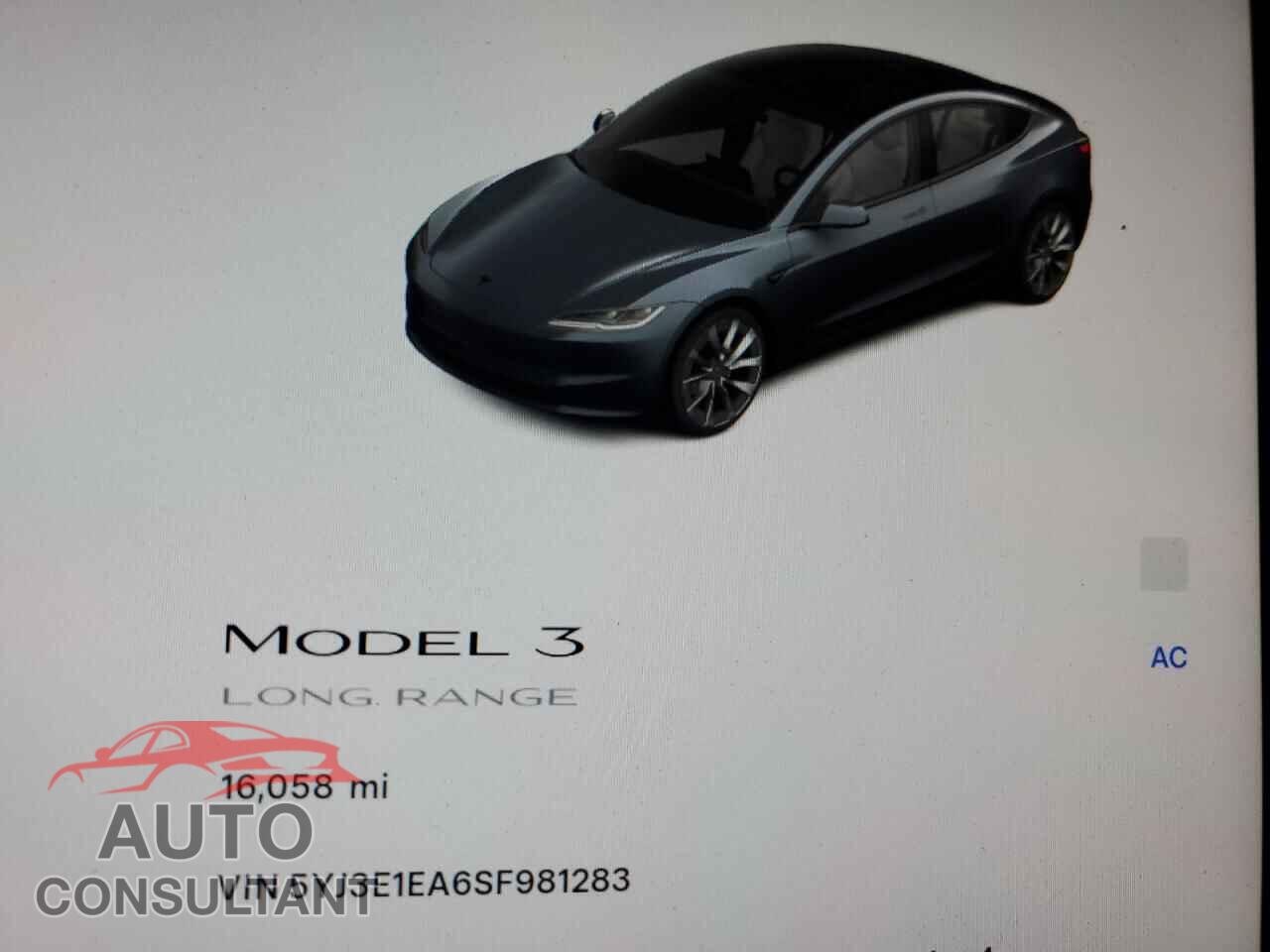 TESLA MODEL 3 2025 - 5YJ3E1EA6SF981283