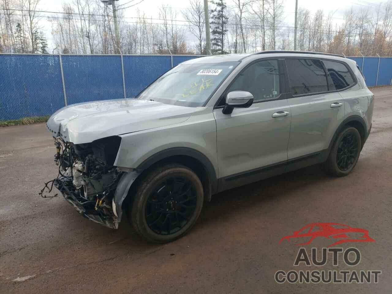 KIA TELLURIDE 2022 - 5XYP5DHC2NG262674