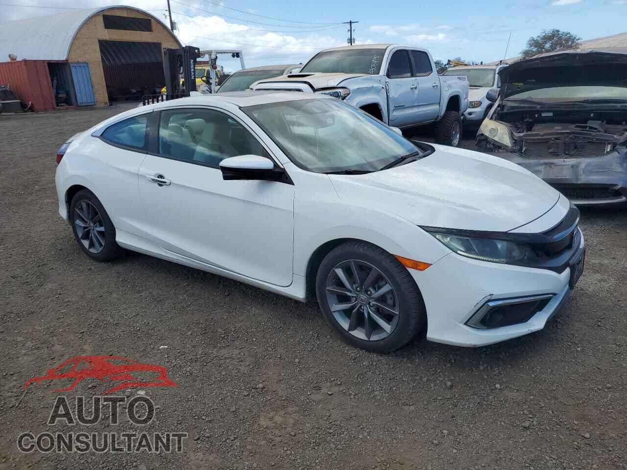 HONDA CIVIC 2019 - 2HGFC3B31KH352904