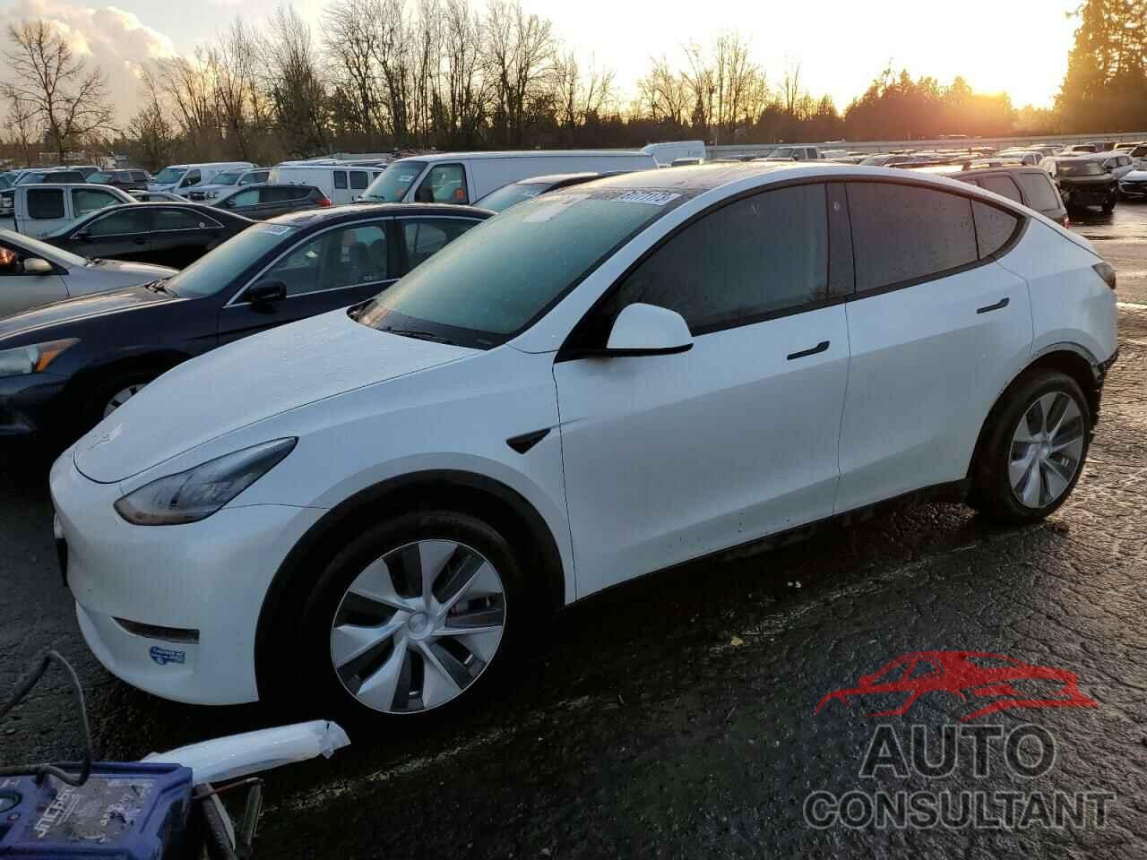 TESLA MODEL Y 2021 - 5YJYGDEE3MF082582