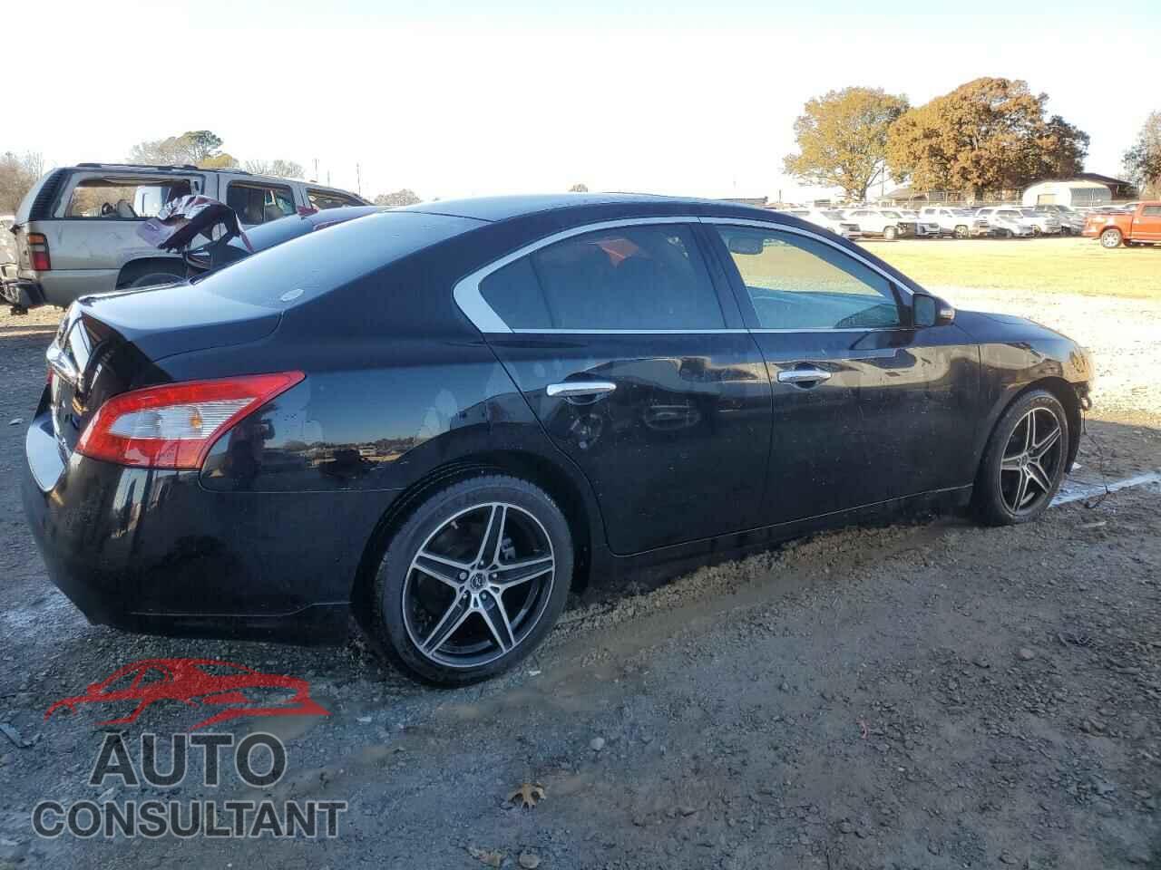 NISSAN MAXIMA 2009 - 1N4AA51E89C848847
