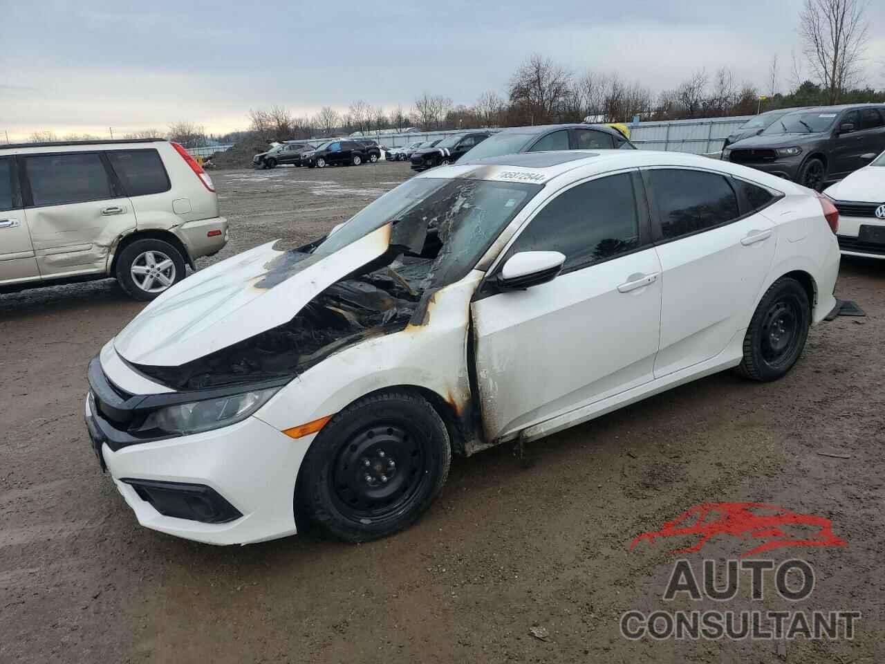 HONDA CIVIC 2020 - 2HGFC2F86LH016697