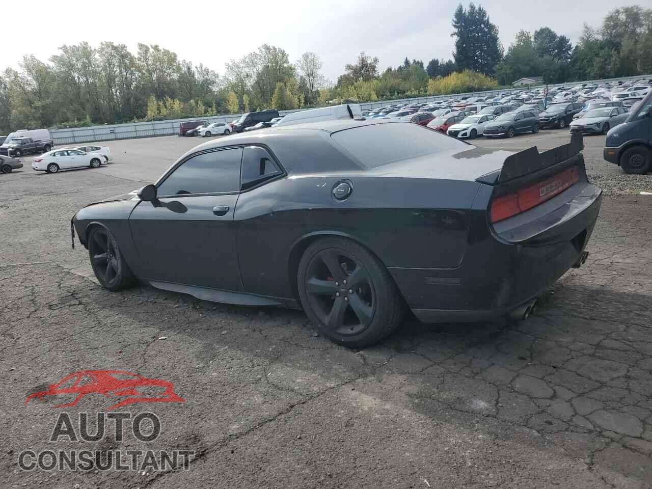 DODGE CHALLENGER 2014 - 2C3CDYBT3EH302333