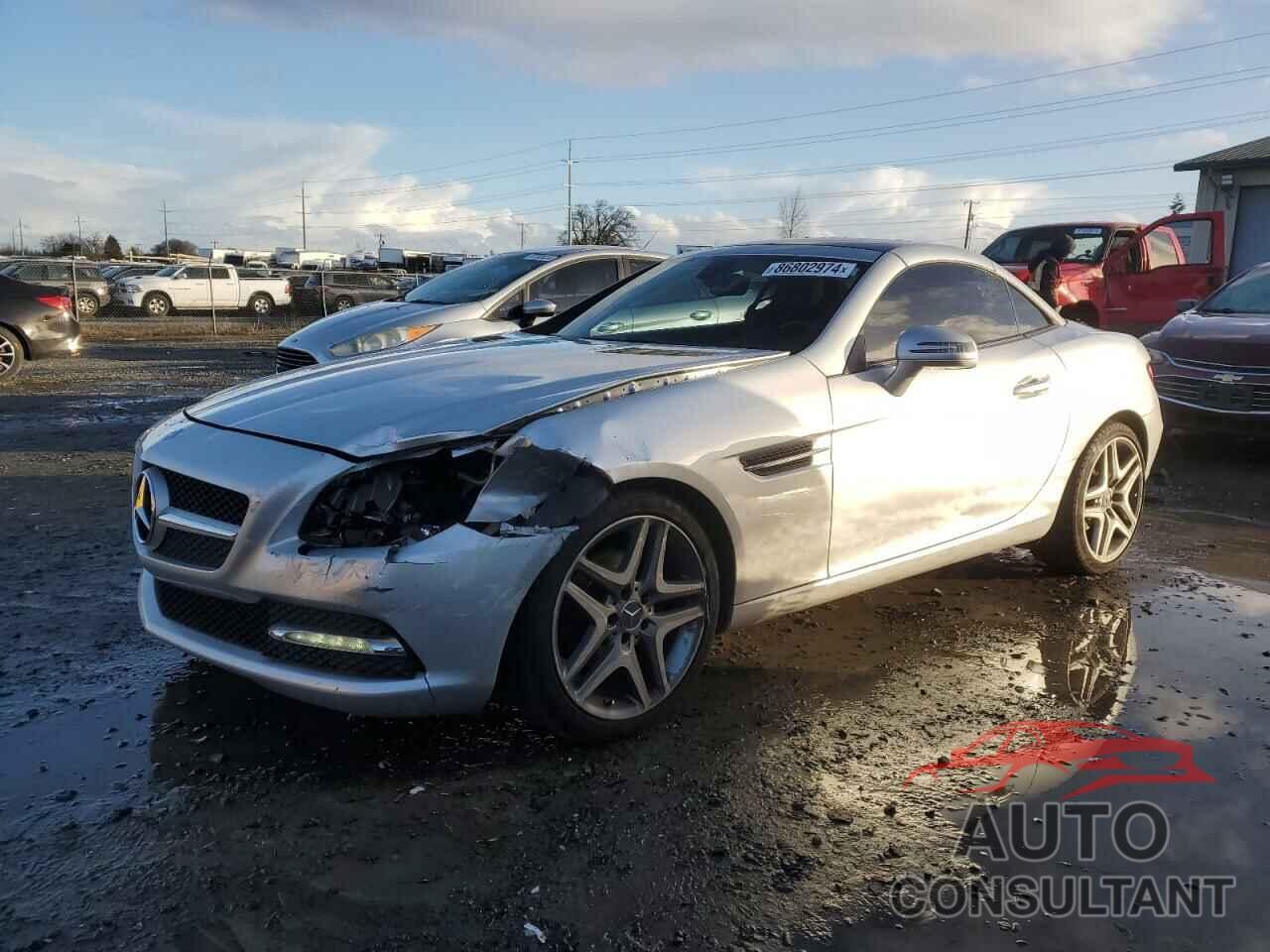 MERCEDES-BENZ SLK-CLASS 2014 - WDDPK4HA3EF091997