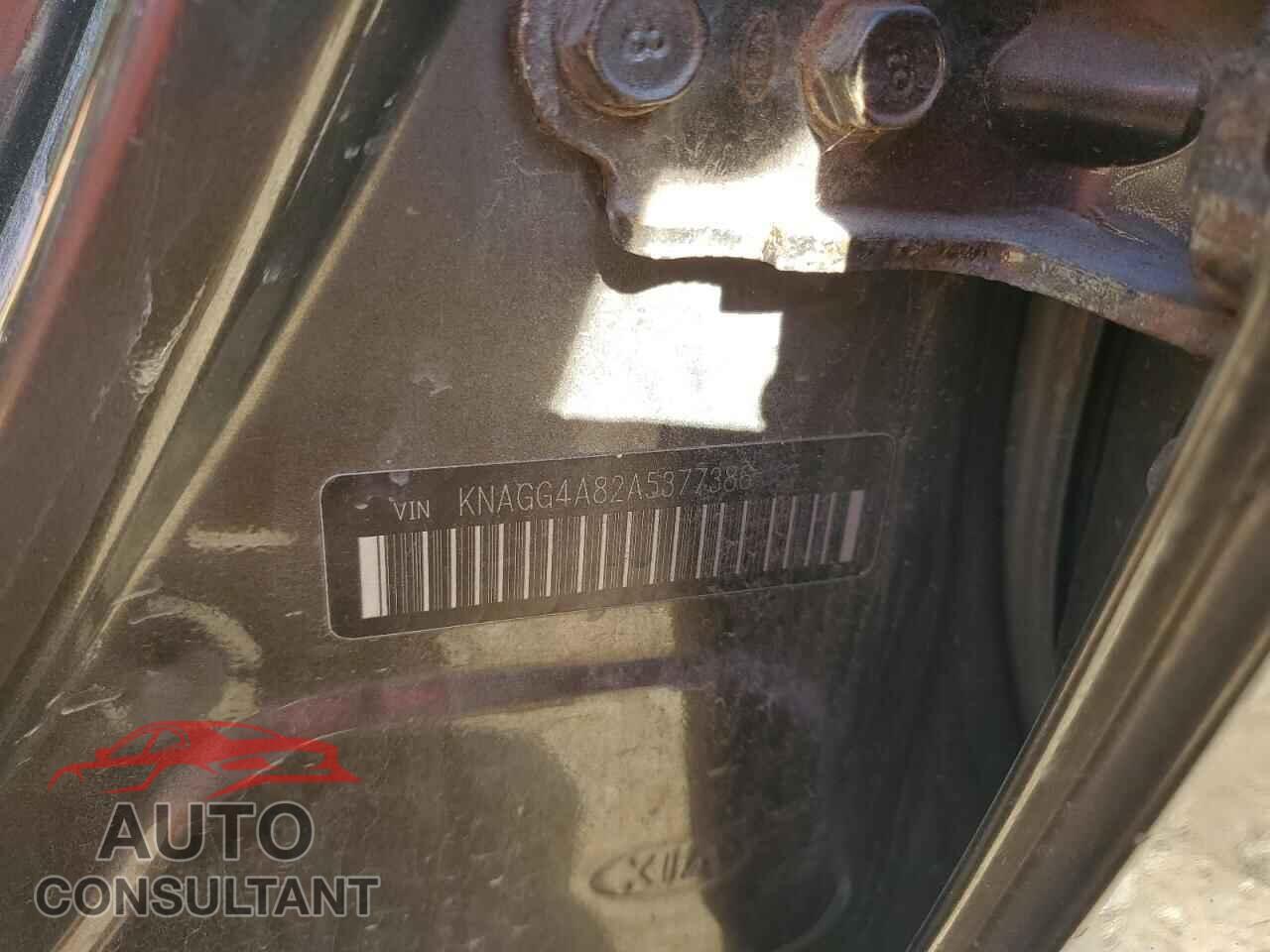 KIA OPTIMA 2010 - KNAGG4A82A5377386