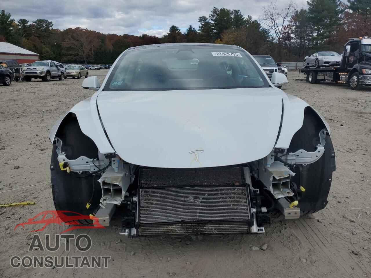 TESLA MODEL 3 2019 - 5YJ3E1EB9KF437000