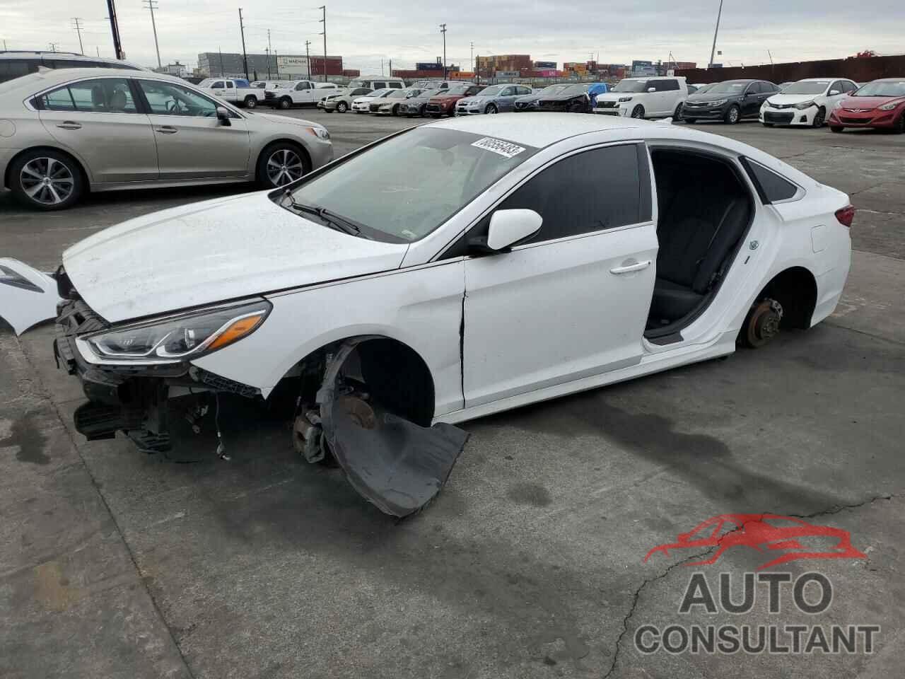 HYUNDAI SONATA 2019 - 5NPE24AF5KH758075