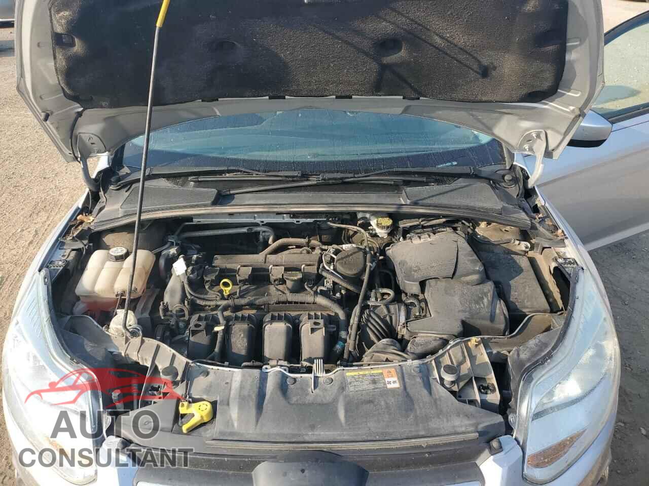 FORD FOCUS 2012 - 1FAHP3F2XCL445587