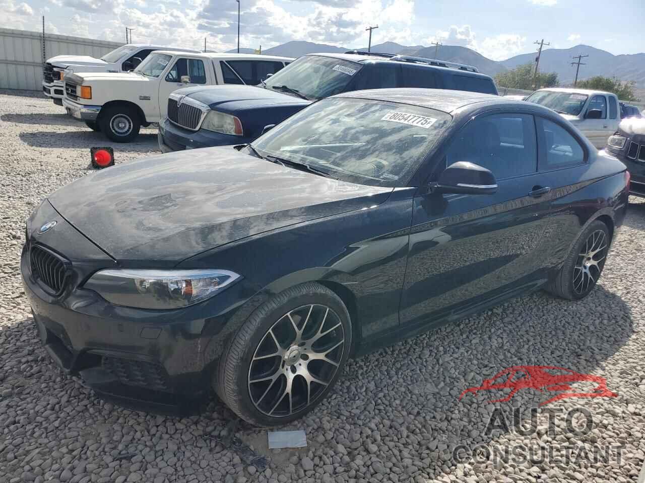 BMW 2 SERIES 2015 - WBA1G9C51FVX96570