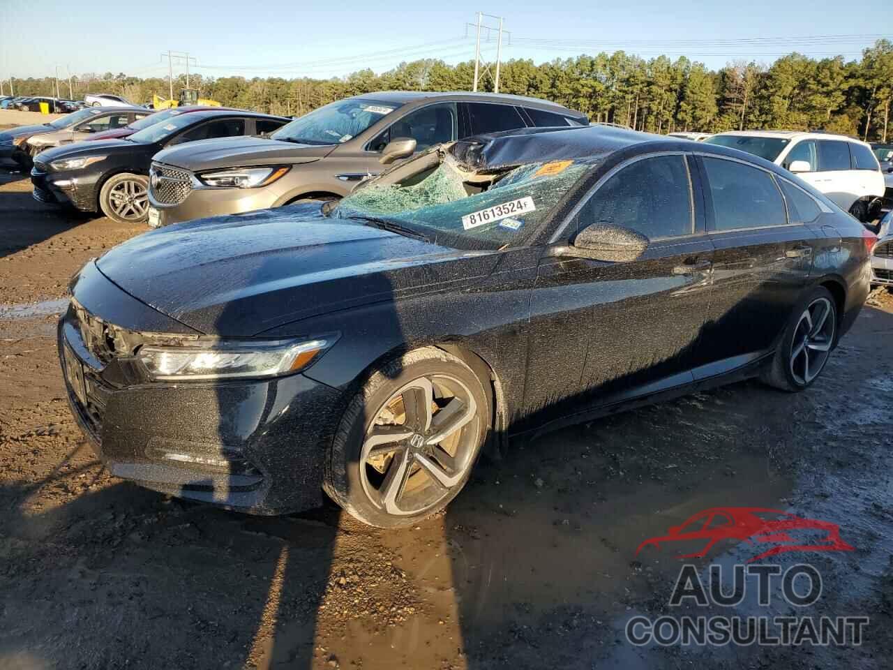 HONDA ACCORD 2019 - 1HGCV1F34KA006386