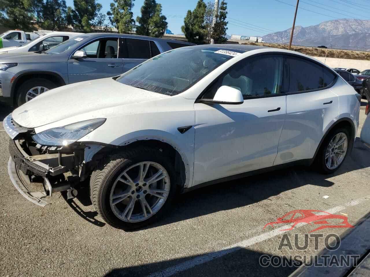 TESLA MODEL Y 2021 - 5YJYGDEE0MF270752