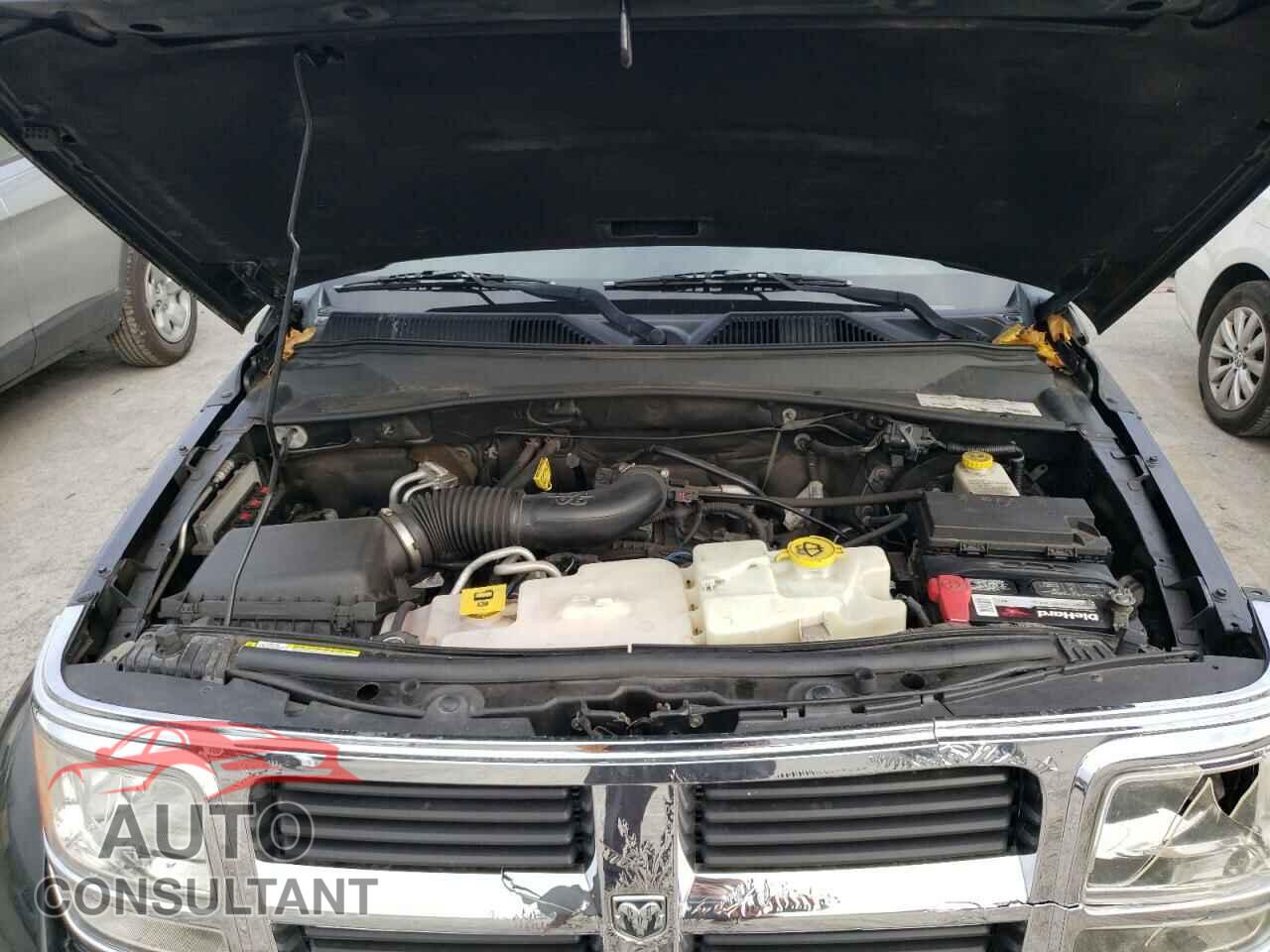 DODGE NITRO 2011 - 1D4PT2GK8BW536982