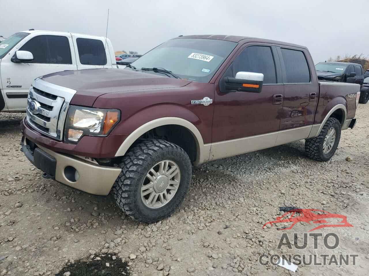 FORD F-150 2010 - 1FTFW1EV4AKE58326