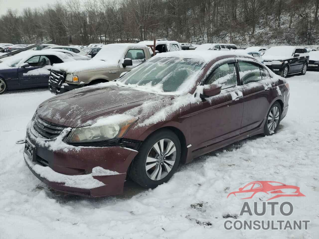 HONDA ACCORD 2009 - JHMCP26369C012251