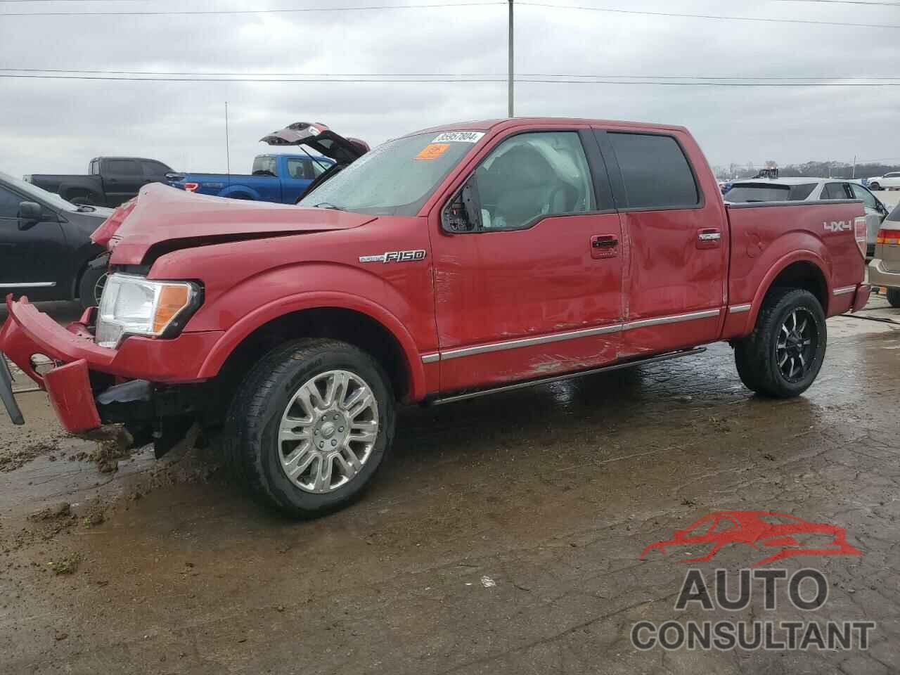 FORD F-150 2010 - 1FTFW1EV5AFA55836