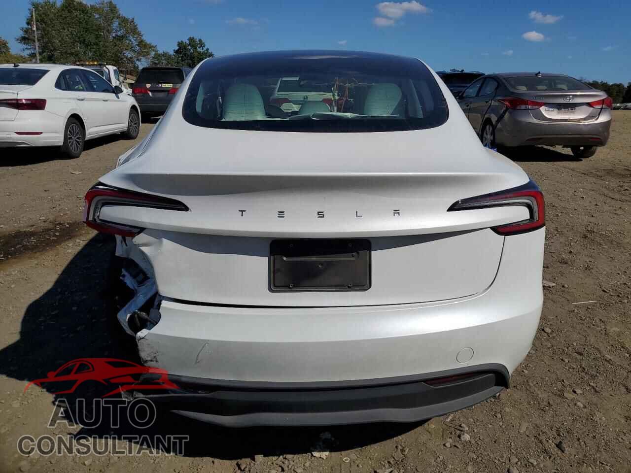 TESLA MODEL 3 2024 - 5YJ3E1EA4RF871374