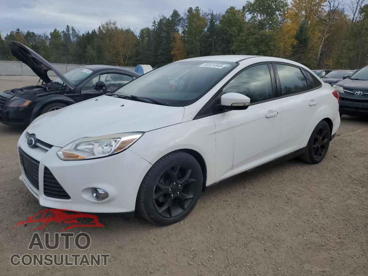 FORD FOCUS 2014 - 1FADP3F22EL401293