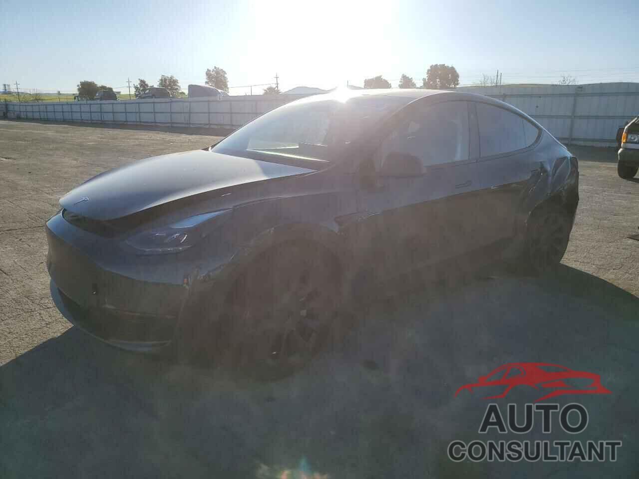 TESLA MODEL Y 2024 - 7SAYGDED0RF040677