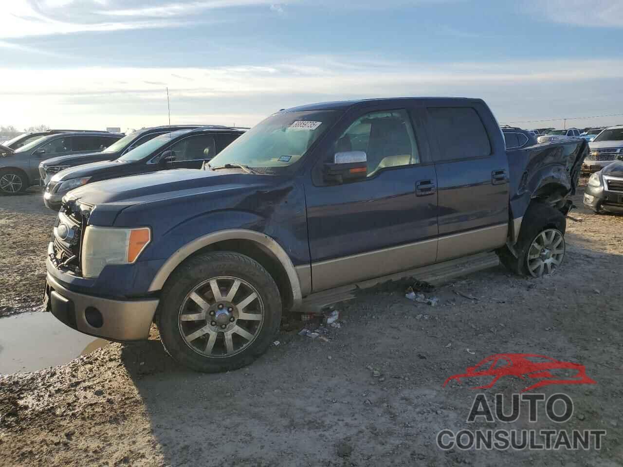 FORD F-150 2011 - 1FTFW1CF7BKD01175