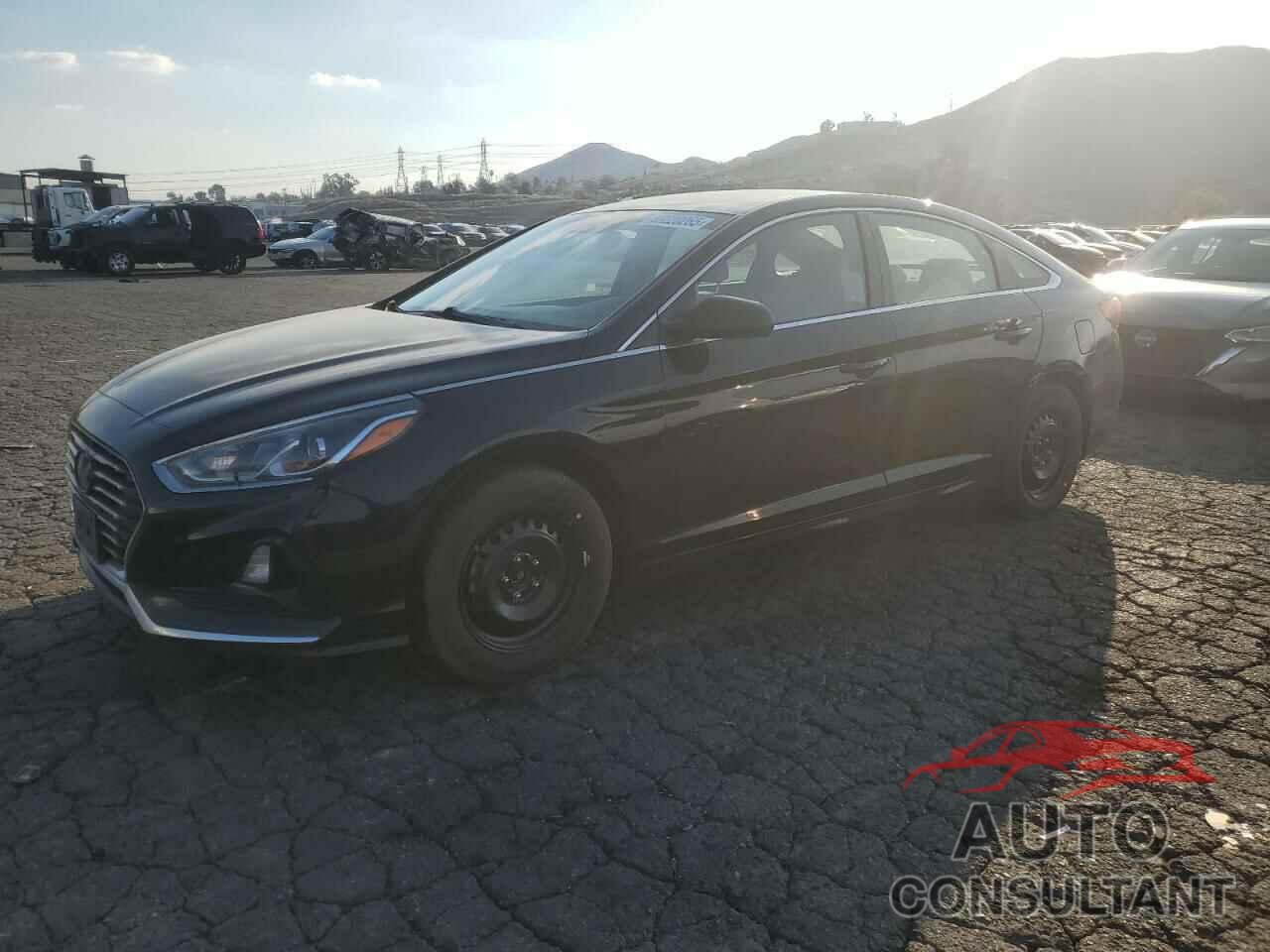 HYUNDAI SONATA 2019 - 5NPE24AF6KH752026