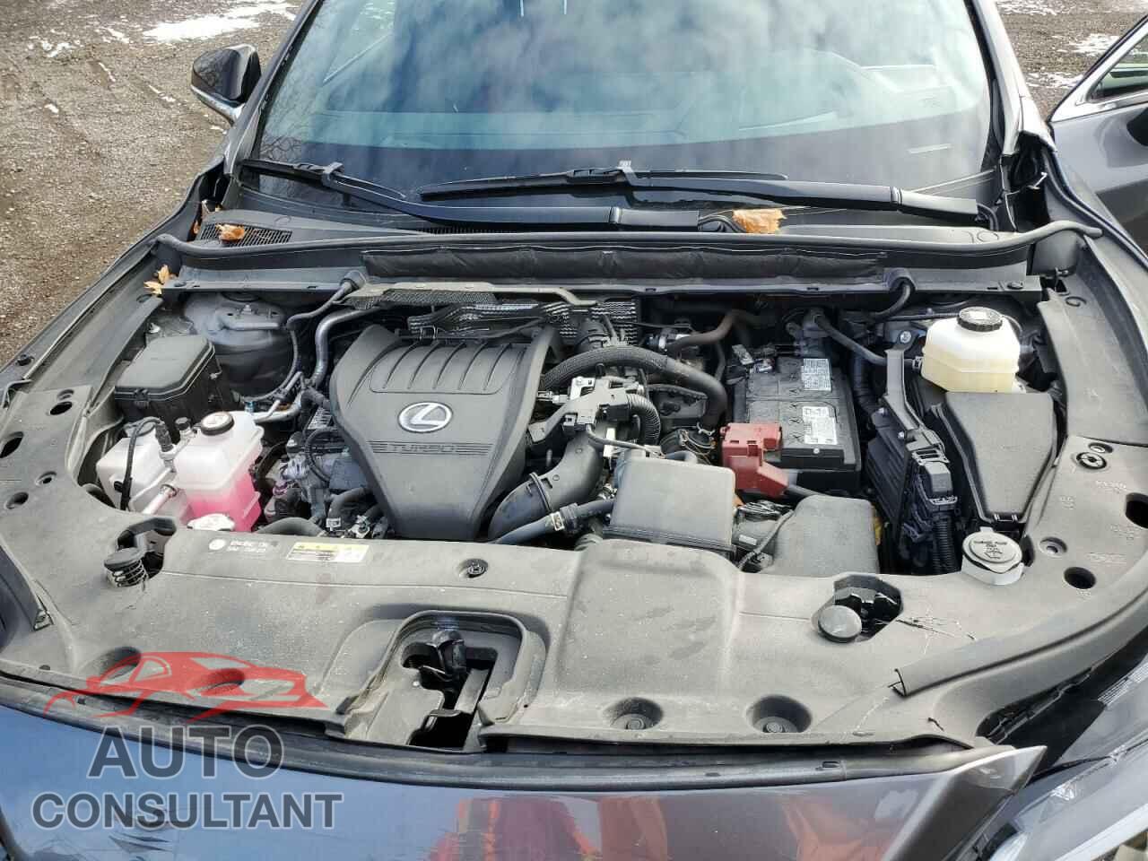 LEXUS RX350 2023 - 2T2BAMCA4PC036142