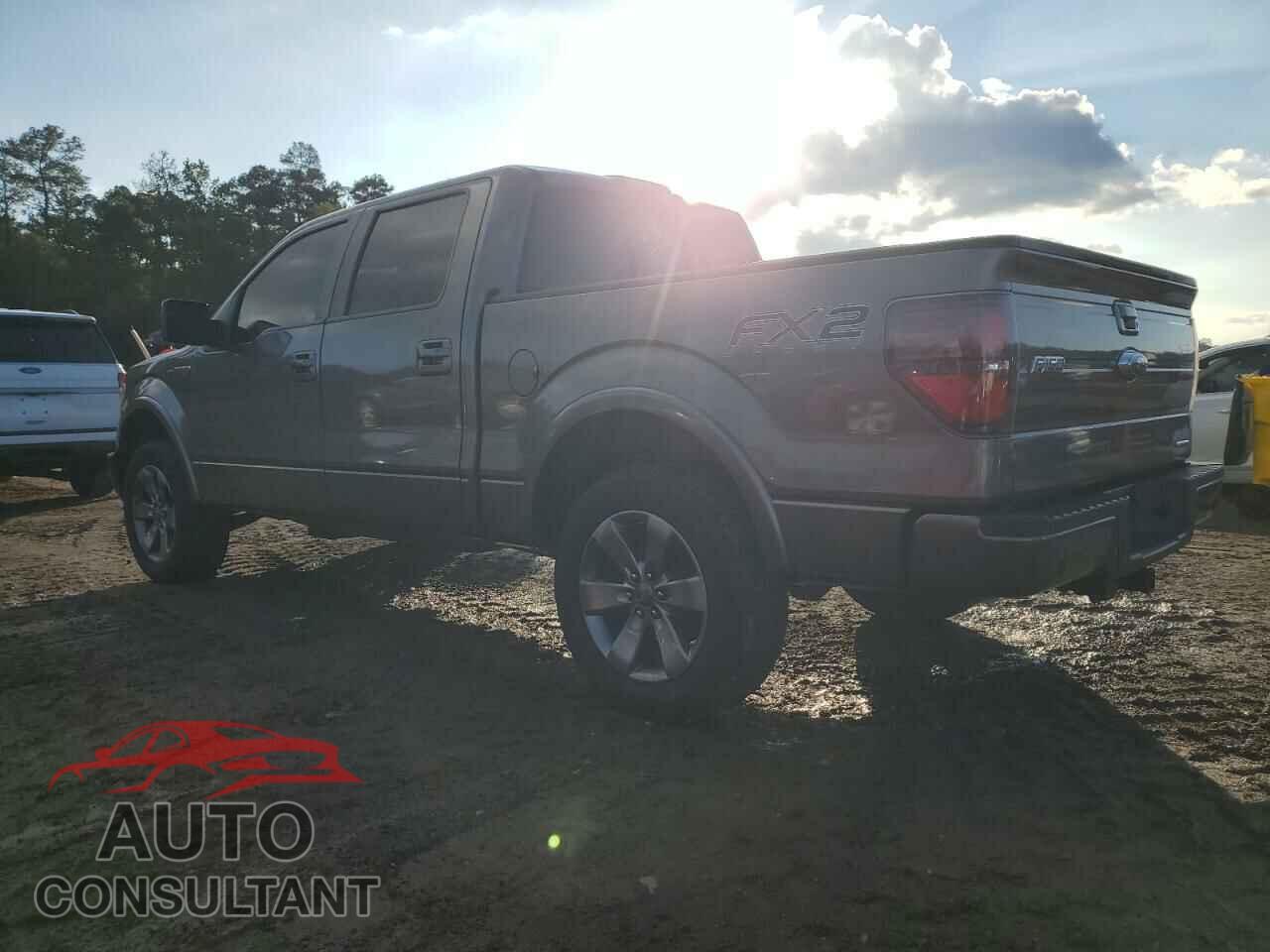 FORD F-150 2013 - 1FTFW1CF1DFB72801